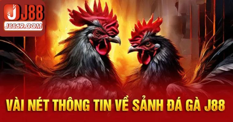 Vài nét thông tin về sảnh gà đá J88